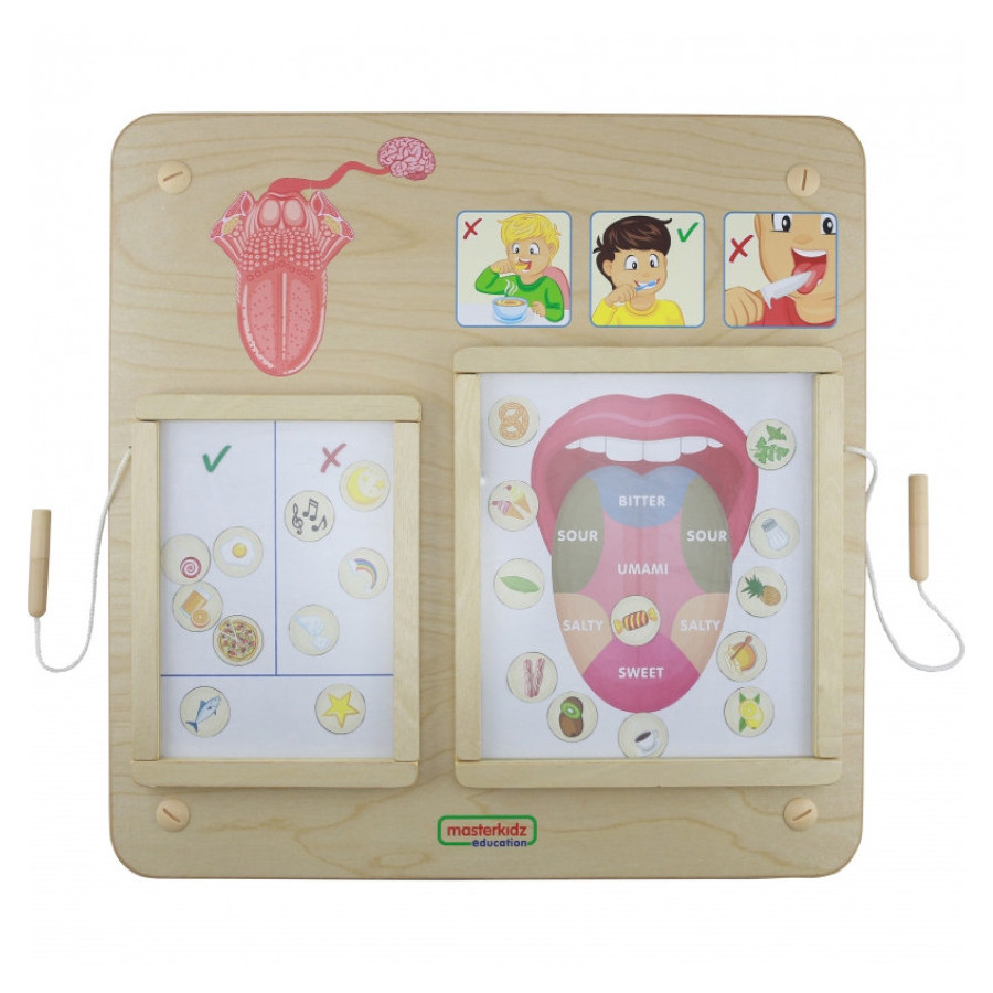 Tablica edukacyjna Zmysł smaku / Masterkidz Tablica edukacyjna Zmysł smaku / Masterkidz