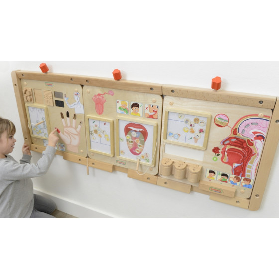 Tablica Edukacyjna Zmysł Dotyku / Masterkidz