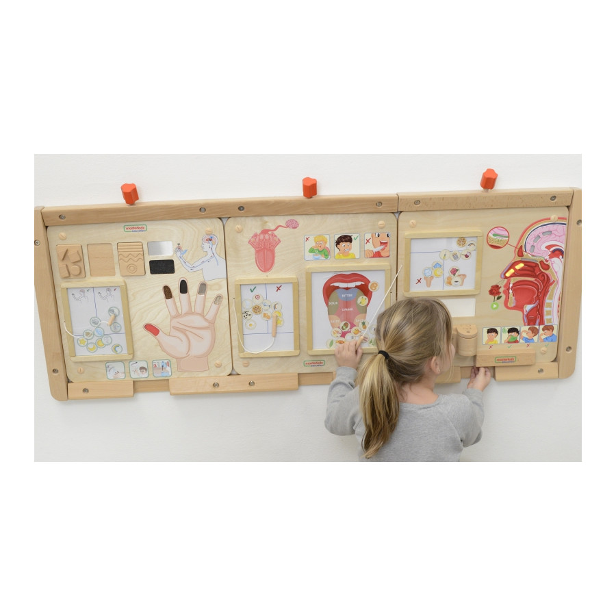 Tablica Edukacyjna Zmysł Dotyku / Masterkidz