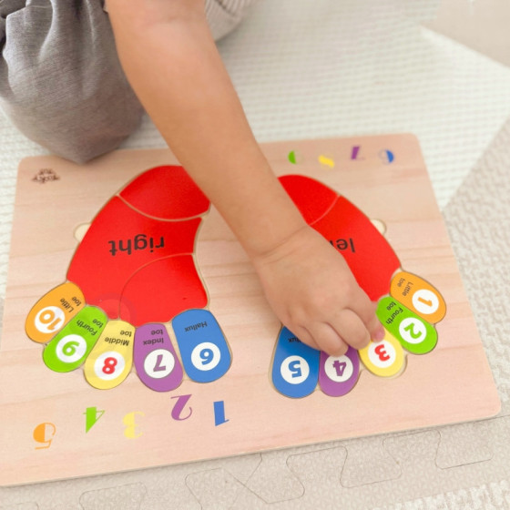 Edukacyjna układanka Stopy / Tooky Toy