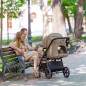 Spacerówka Bravo SL Deluxe Shuttle grey / Carrello