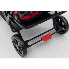 Wózek spacerowy do żłobka Lidoo Revers Red 6-osobowy / Familidoo