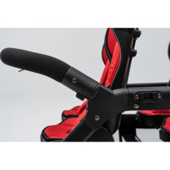 Wózek spacerowy do żłobka Lidoo Revers Red 6-osobowy / Familidoo