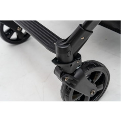 Wózek spacerowy do żłobka Lidoo Revers Blue 4-osobowy / Familidoo