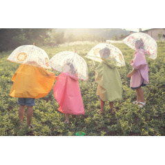 Parasol przeciwdeszczowy Lisek / Sassi