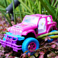 Zdalnie sterowane autko Crossroad Amazone / Exost