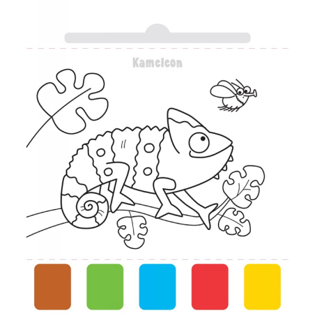 Malowanka Użyj wody, zbudź kolory! Farbki i pędzelek. W zoo / Aksjomat