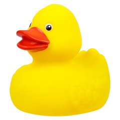 Kaczuszka kąpielowa / Tullo