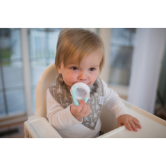 Gryzak silikonowy do podawania pokarmu Zielony / Dr. Brown's