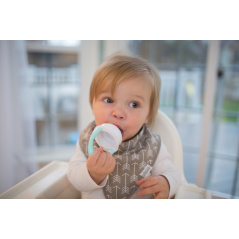 Gryzak silikonowy do podawania pokarmu Zielony / Dr. Brown's