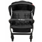 Wózek spacerowy do żłobka Lidoo Lite Black 4-osobowy / Familidoo