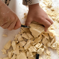 Mały archeolog Szkielet Stegozaura / Woopie