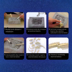 Mały archeolog Szkielet Stegozaura / Woopie