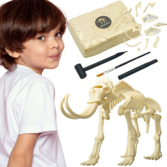 Mały archeolog Szkielet Mamuta / Woopie