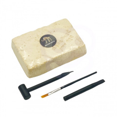 Mały archeolog Szkielet Mamuta / Woopie