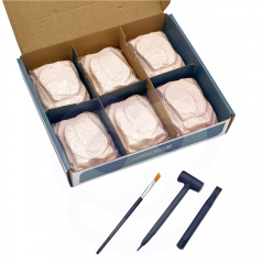 Mały archeolog Szkielet Mamuta / Woopie