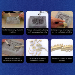 Mały archeolog Szkielet Mamuta / Woopie