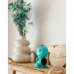 Termometr kąpielowy Dino / Woopie