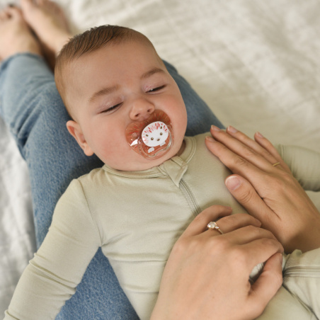 Smoczek ortodontyczny PreVent 0+ Jeżyk 2 szt. / Dr. Brown's