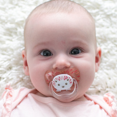 Smoczek ortodontyczny PreVent 0+ Jeżyk 2 szt. / Dr. Brown's