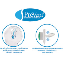 Smoczek ortodontyczny PreVent 6+ Piesek 2 szt. / Dr. Brown's