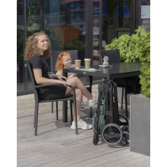 Spacerówka Bravo CRL Timber grey / Carrello