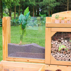 Ogrodowa stacja badawcza owadów i roślin / Masterkidz