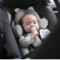 Wkładka stablizująca do fotelika samochodowego Szara / BenBat