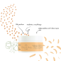 Naturalny krem do twarzy dla dzieci 50 ml / Natural Baby Care Naturalny krem do twarzy dla dzieci 50 ml / Natural Baby Care