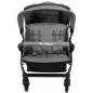 Wózek spacerowy do żłobka Lidoo Lite Grey 4-osobowy / Familidoo