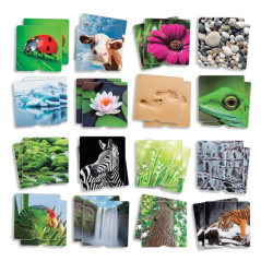 Gra memory Sensoryczne struktury natury 3D / Akros