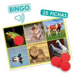 Gra edukacyjna Dźwięki zwierząt i natury / Akros
