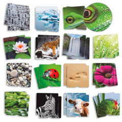 Gra memory Sensoryczne struktury natury 3D / Akros