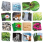 Gra memory Sensoryczne struktury natury 3D / Akros Gra memory Sensoryczne struktury natury 3D / Akros