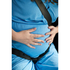 Adapter do pasów bezpieczeństwa dla kobiet w ciąży / Dooky